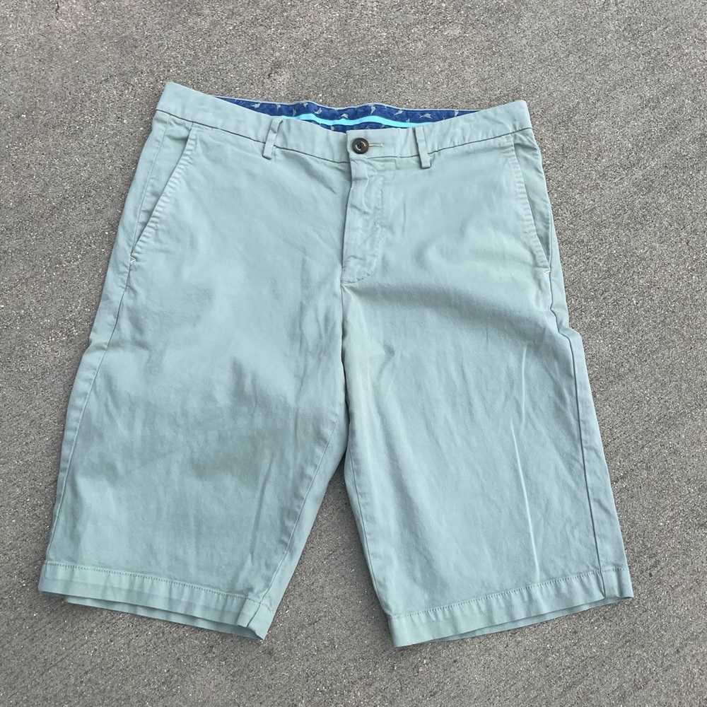 Tommy Bahama Mens Chino Khaki Mint Green Shorts Size 32 Beachy Hamptons Classic